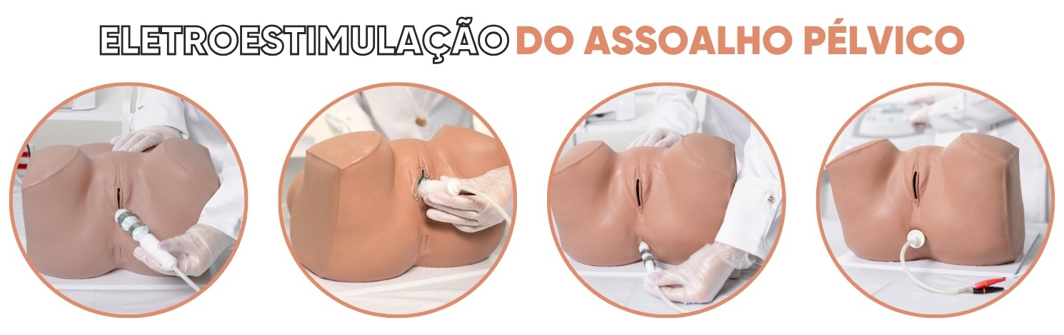 assolho pélvico Neurodyn Evolution - Ibramed