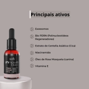 Innova Glass - Sérum regenerador para uso diário - Eccos Cosméticos