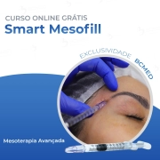 Smart Mesofill 0,6mm - Caixa com 10 unidades - Cartucho com 3 microagulhas - Smart GR